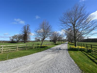 Picture 21